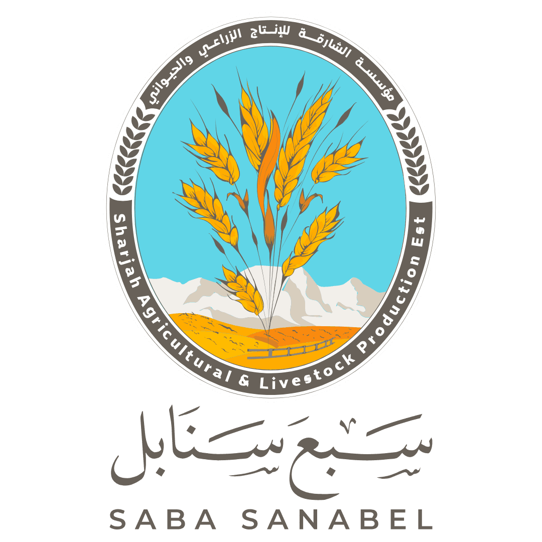 Saba Sanabel