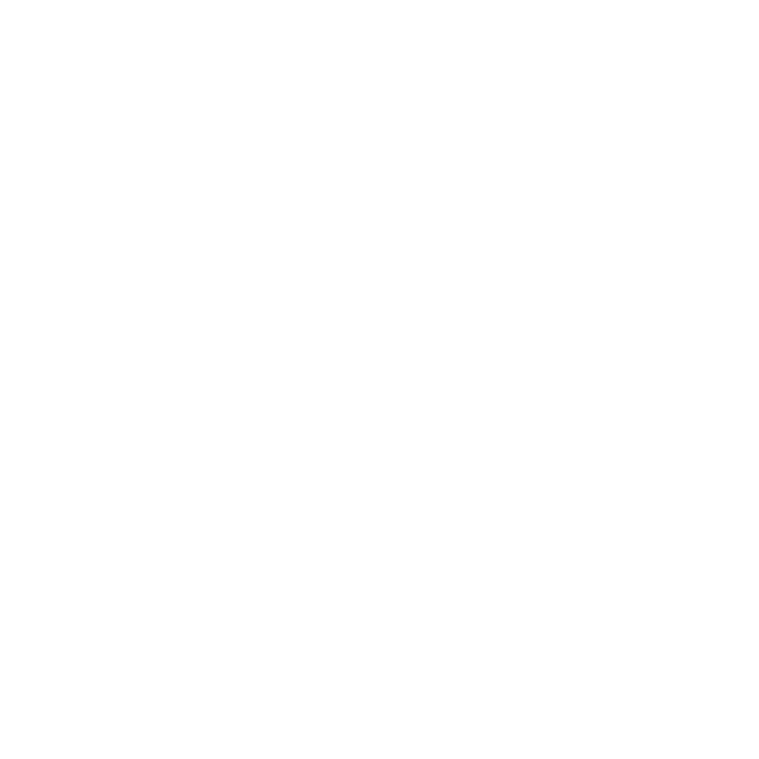 Government Accelerators